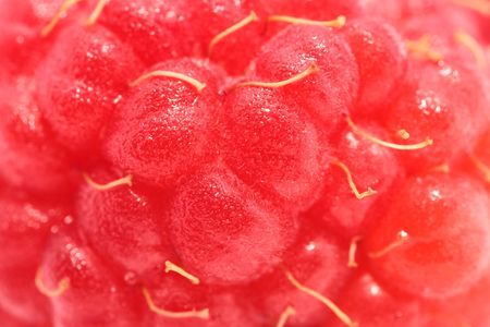 Amazing close-up of juicy raspberry