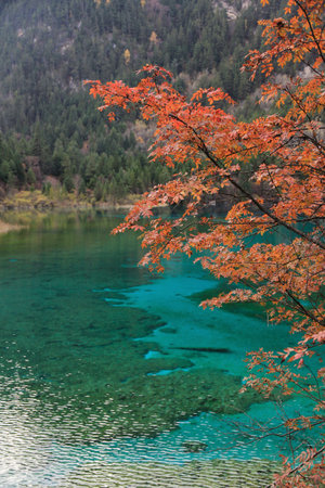 The travel photos of the trip around China in late autumn, including the most beautiful snow-capped mountains in China, Nanga Bawa Peak, Meili Snow Mountain, and hiking tours in Xinjiang.の写真素材