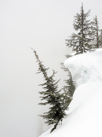 Foggy snowy afternoon at Crater Lake, Cascade Mountains, Oregonの写真素材