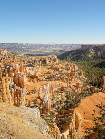 Late autumn afternoon at Bryce Canyon, southern Wasatch mountains, Utahの写真素材