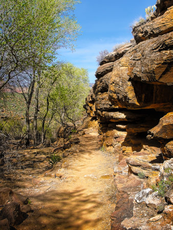 Late winter along the base of the Grand Canyon, Arizona, on Angel's Rest trailの写真素材
