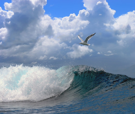 beautiful seascape with a noisy foaming waves and seagull on a blue sky with cloudsの写真素材