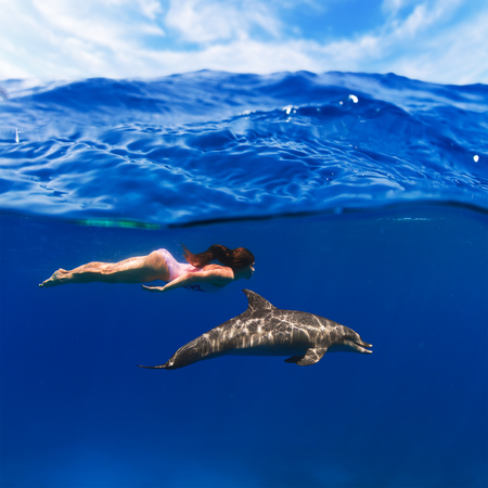 swimmer girl in pink swimsuit and dolphin playing in the sea underwaterの写真素材