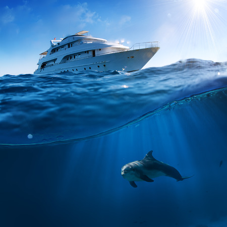 Underwater splitted by waterline postcard template. Bottlenose dolphin swimming under boatの写真素材