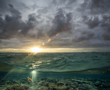Cloudy sky with the sun split by waterline to underwater scene as design template.の写真素材