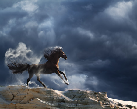 Running horse with streamed mane in a beautiful valley at sunset time with dark stormy cloudsの写真素材