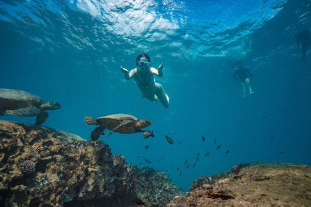 A snorkel girl diving underwater to watch sea turtles in natural habitat. Pacific ocean wildlife sceneryの写真素材