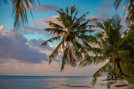 Maldivian tropical beach with beautiful skyline at sunrise timeの写真素材