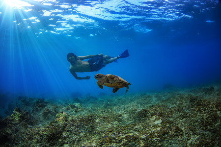 Freediving with wild marine animals. Sea turtle floating underwater. A male snorkeler with glossy mask watching behindの写真素材