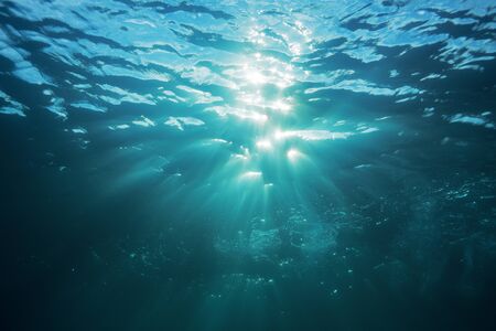 Underwater view of sun rays beaming from water sea ocean surfaceの写真素材