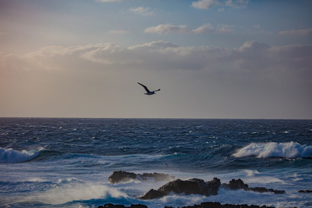 Storming roug ocean water at sunset timeの写真素材
