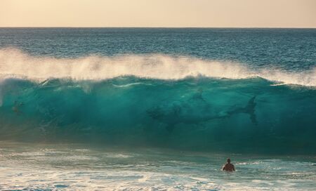 Ocean surfing extreme sport, Great White Shark hunting inside the waveの写真素材