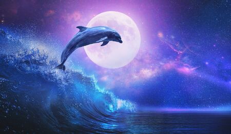 Night ocean with playful dolphin leaping from sea on surfing wave and full moon shining on tropical backgroundの写真素材