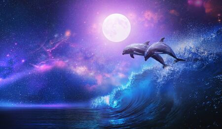 Night ocean with a pair of beautiful dolphins leaping from sea on surfing wave and full moon shining on tropical backgroundの写真素材