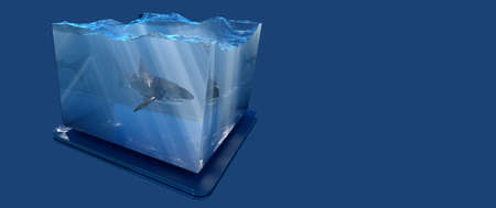 Great white shark inside water tank with water and godrays inside, save water conceptual design, 3d illustrationの写真素材