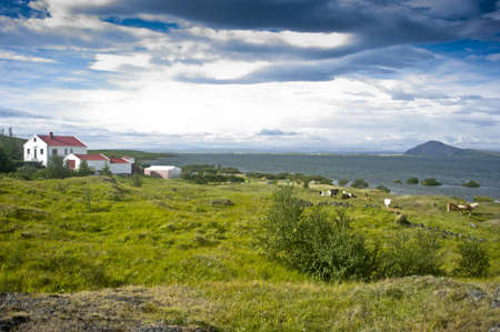 Iceland landscapeの写真素材