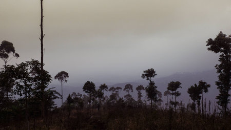 When The Mist Is Comesの写真素材