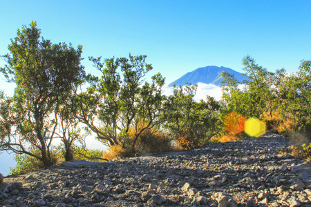 Hiking Trail with Mountain View Above the Clouds in Tropical Forestの写真素材