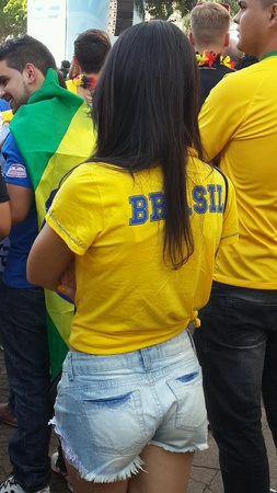 brazil fanの素材