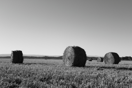 grass rollsの写真素材