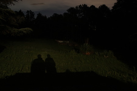 shadesの写真素材