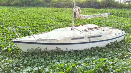 Sailboat moored between camalotesの素材