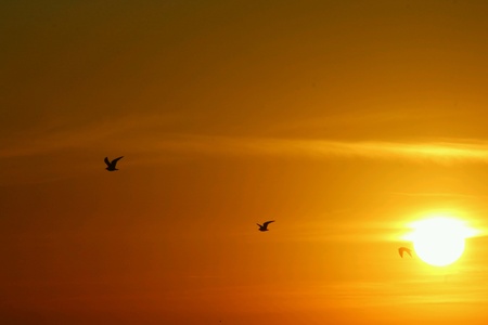 Flying at sunrise