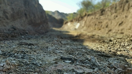 Road Adventure