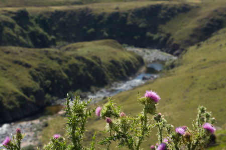 springの写真素材