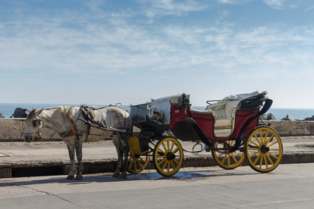 carriageの写真素材