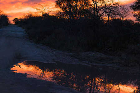 red sky reflected in a puddle on rural roadの写真素材