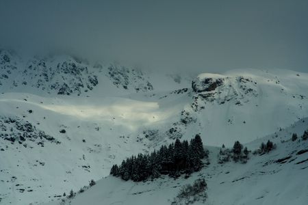 Fog and sun in the alps near a summit