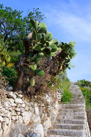 Typical sicilian staircases in the taormina village with prickly pears under a blue sky
