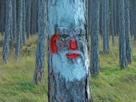 Red white painted tree with a faceの写真素材