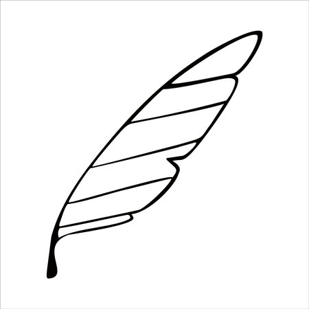 Feather doodle line icon on white background. Vector illustrationのイラスト素材