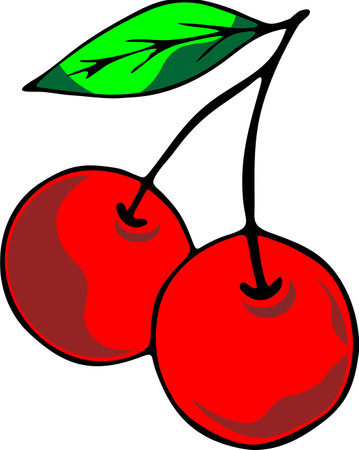 Illustration of cherries on a white background. Vector image.のイラスト素材