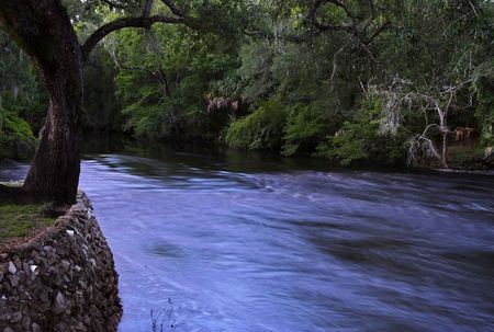 The scenic Steinhatchee River in the state of Floridaの写真素材