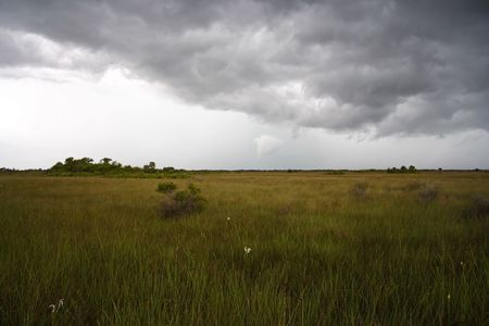 Dark clouds gather over the Everglades, Big Cypress National Preserveの写真素材