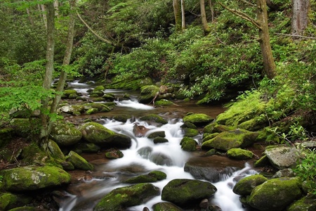 Small Cascades, Great Smokey Mountains National Park, Tennessee