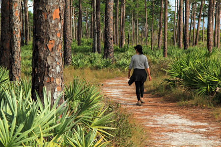 A hiker travels down Kitching Creek Trail in Jonathan Dickenson State Park in Jupiter Florida on January 31, 2016のeditorial素材