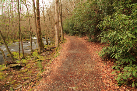 The Little River Trail offers an easy and scenery filled hike as it follows the course of the Little River in Great Smokey Mountains National Parkの写真素材