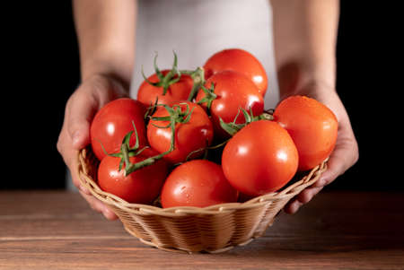 Brown woven basket filled with freshly harvested fresh red tomatoes held by a person in a white suitの写真素材