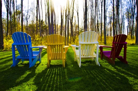 Multi Colored Muskoka Chair looking over a forestの写真素材