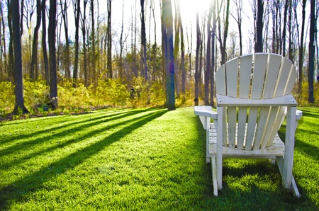 White Muskoka Chair looking over a forestの写真素材