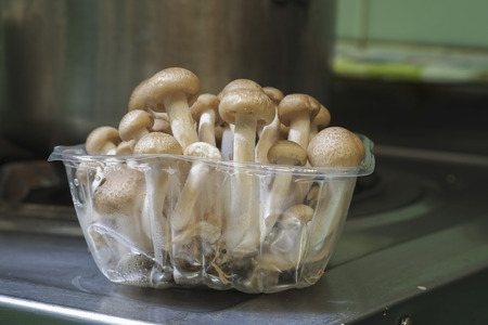 Brown mushroom in the kitchen の写真素材