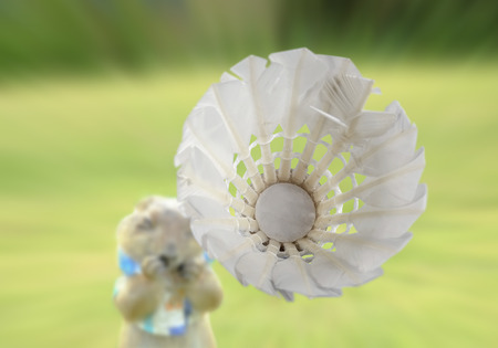 Shuttlecock falling to prairie dog.の写真素材