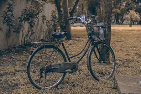 Bicycle parked in the park. Vintage style.の写真素材