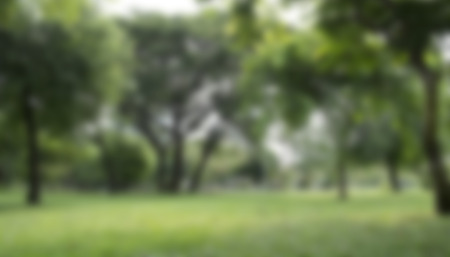 Blured of park, use as background.の写真素材