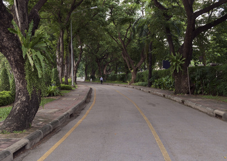 View of road in the park.