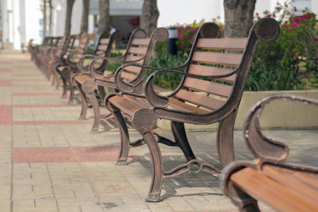 Empty park bench in the park.の写真素材